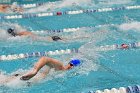 Swimming & Diving vs RWU  Swimming & Diving vs Roger Williams University. - Photo by Keith Nordstrom : Wheaton, Swimming